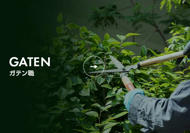 GATEN職