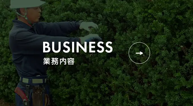 業務内容